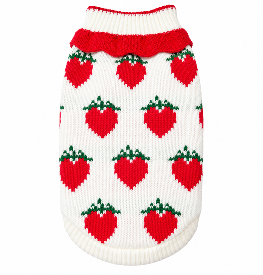 Dog Sweater - product view 1